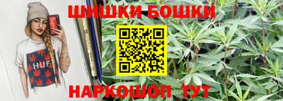 гашик Нальчик