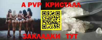 гашик Нальчик