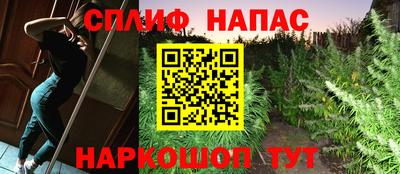 гашик Нальчик