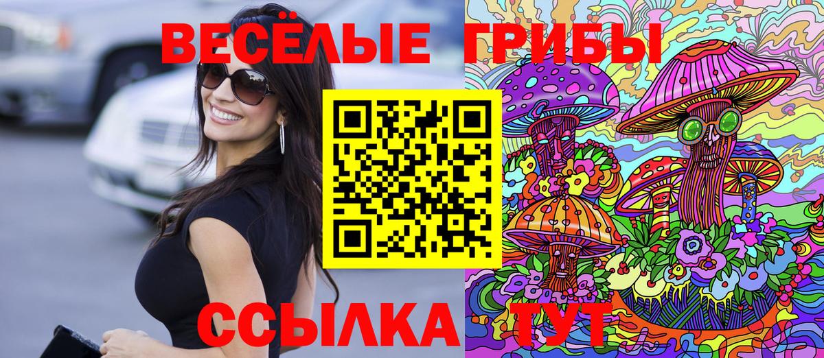 Удомля  Галлюциногенные грибы Psilocybine cubensis  Вход с VPN 